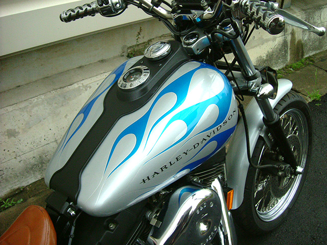 FATECH Custom Harley Davidson "1999 FXDX"