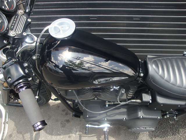 FATECH Custom Harley Davidson "1999 FXDX"