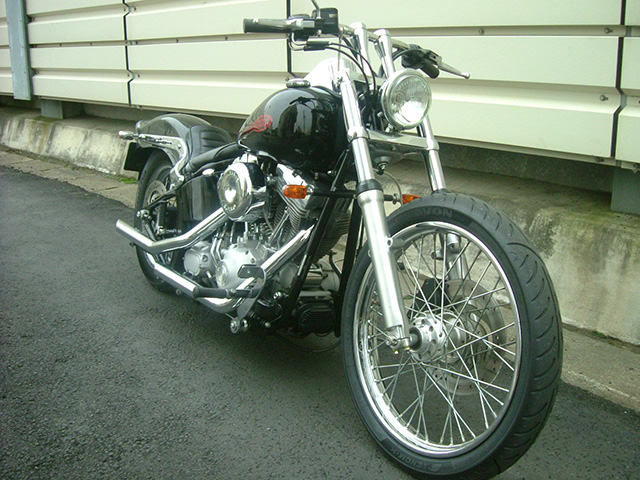 FATECH Custom Harley Davidson "2002 FXST"
