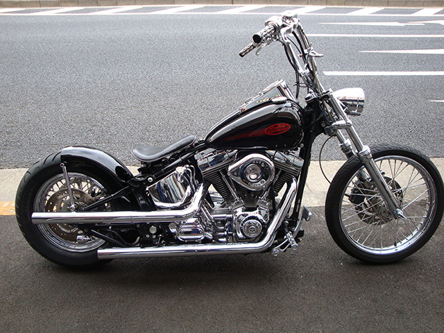 FATECH Custom Harley Davidson "2002 FXST"
