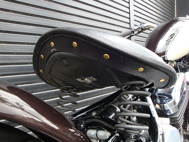 FATECH Custom Harley Davidson "2006 Road Hopper"