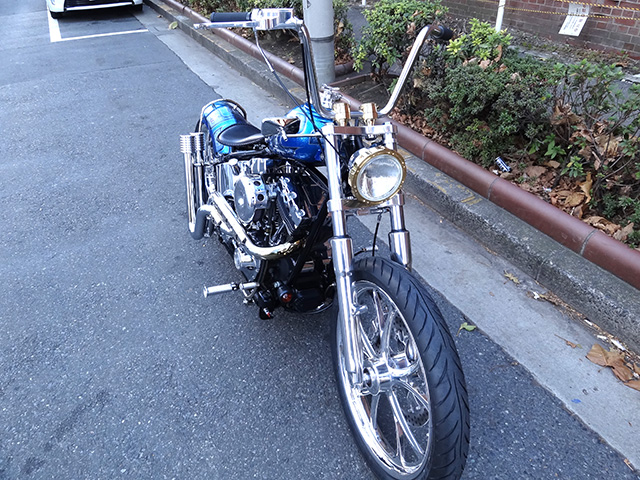 FATECH Custom Harley Davidson "ANTIQUE SAPPHIRE"