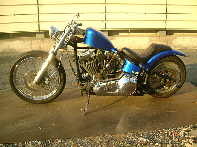 FATECH Custom Harley Davidson "BEAST"