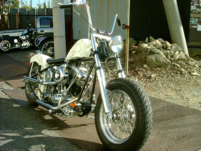 FATECH Custom Harley Davidson "FATECH modified other Custom02"