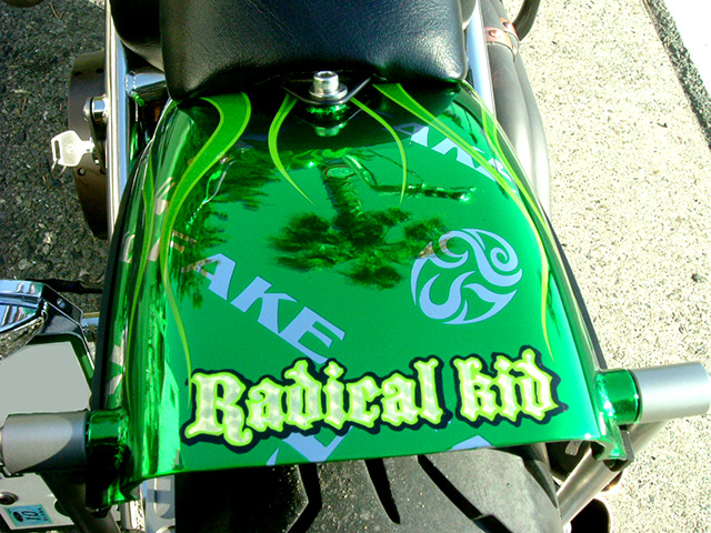 FATECH Custom Harley Davidson "RADICAL KID"