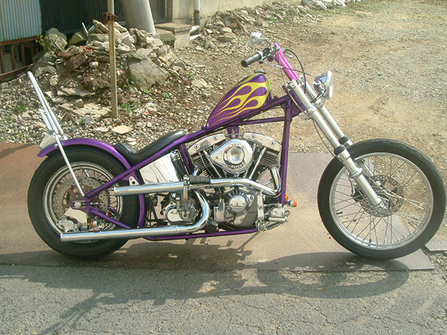 FATECH Custom Harley Davidson "TRAFFIC MASTER"