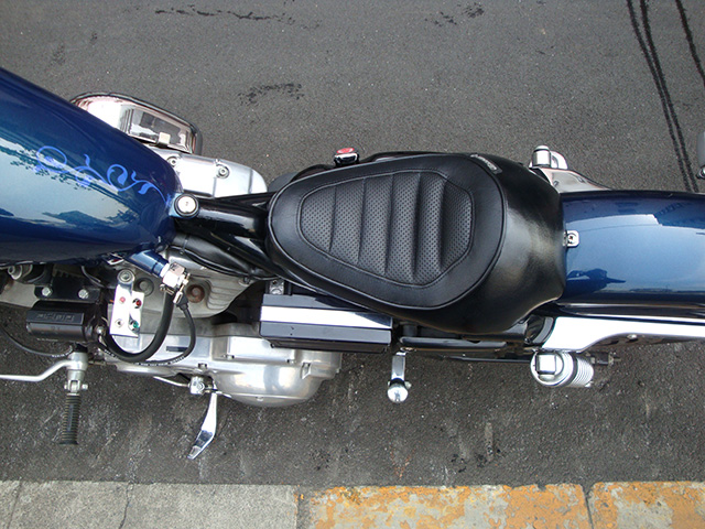 FATECH Custom Harley Davidson "2001 XL883"
