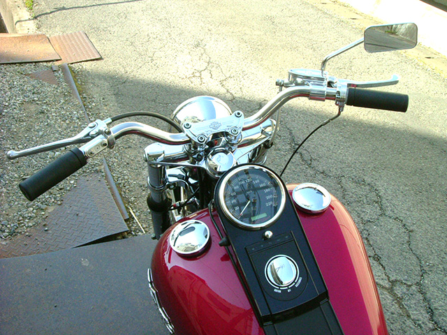 FATECH Custom Harley Davidson "SMASHING BOB"